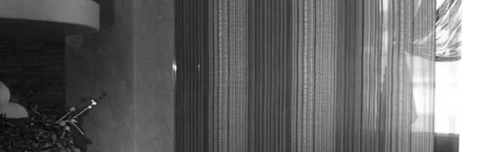 Fabric Laminated Glass